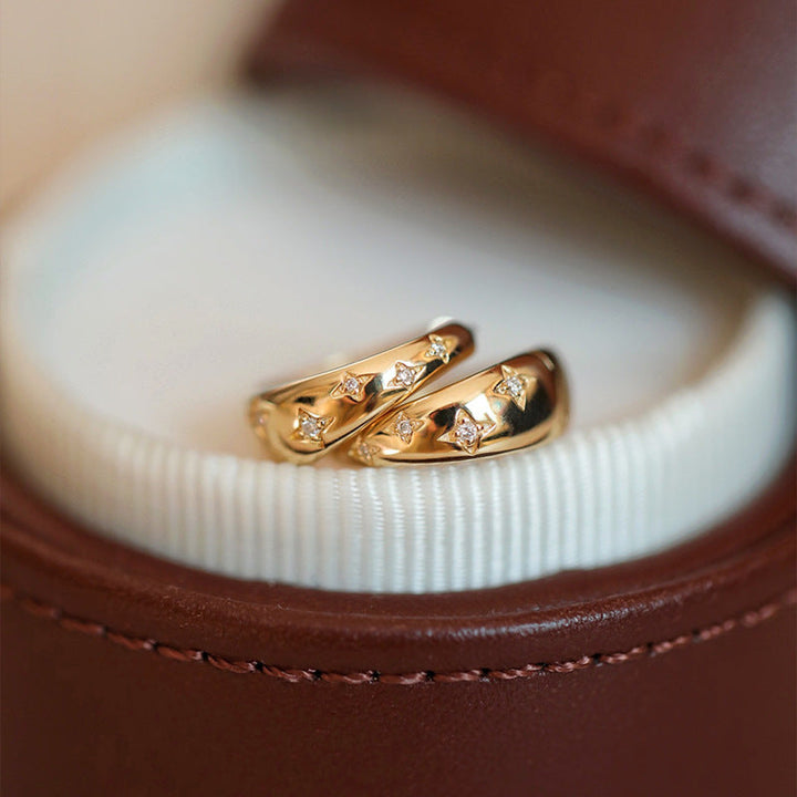 Prabangūs auksiniai ir sidabriniai auskarai